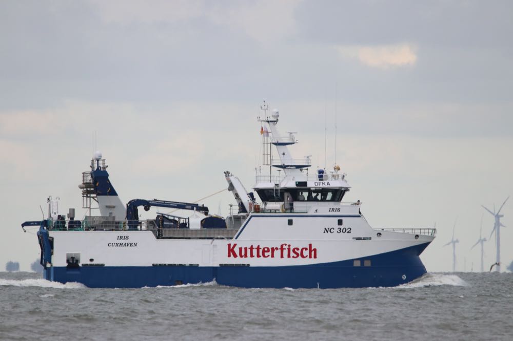 Seelachs: Fischer haben kein Verständnis für Verlust des MSC-Siegels