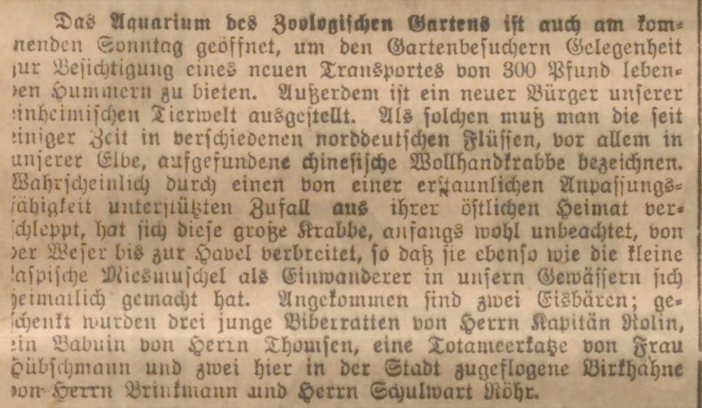 Wollhandkrabbe: Bestände in Norddeutschland sind eingebrochen
