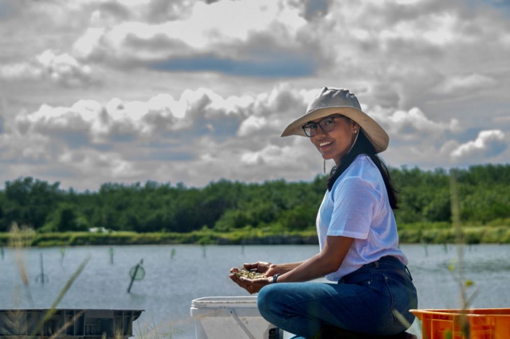 Ecuador: Erster Shrimp-Züchter beteiligt sich an ASC Improver Programme