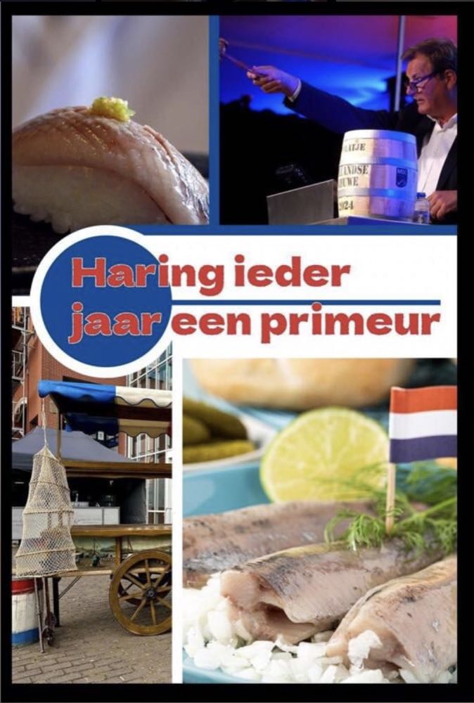 Niederlande: Matjes – neue Werbekampagne und Doku-Film zum Hering