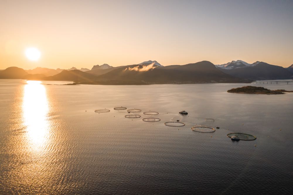 Norwegen: Norcod plant neue Kabeljau-Farm