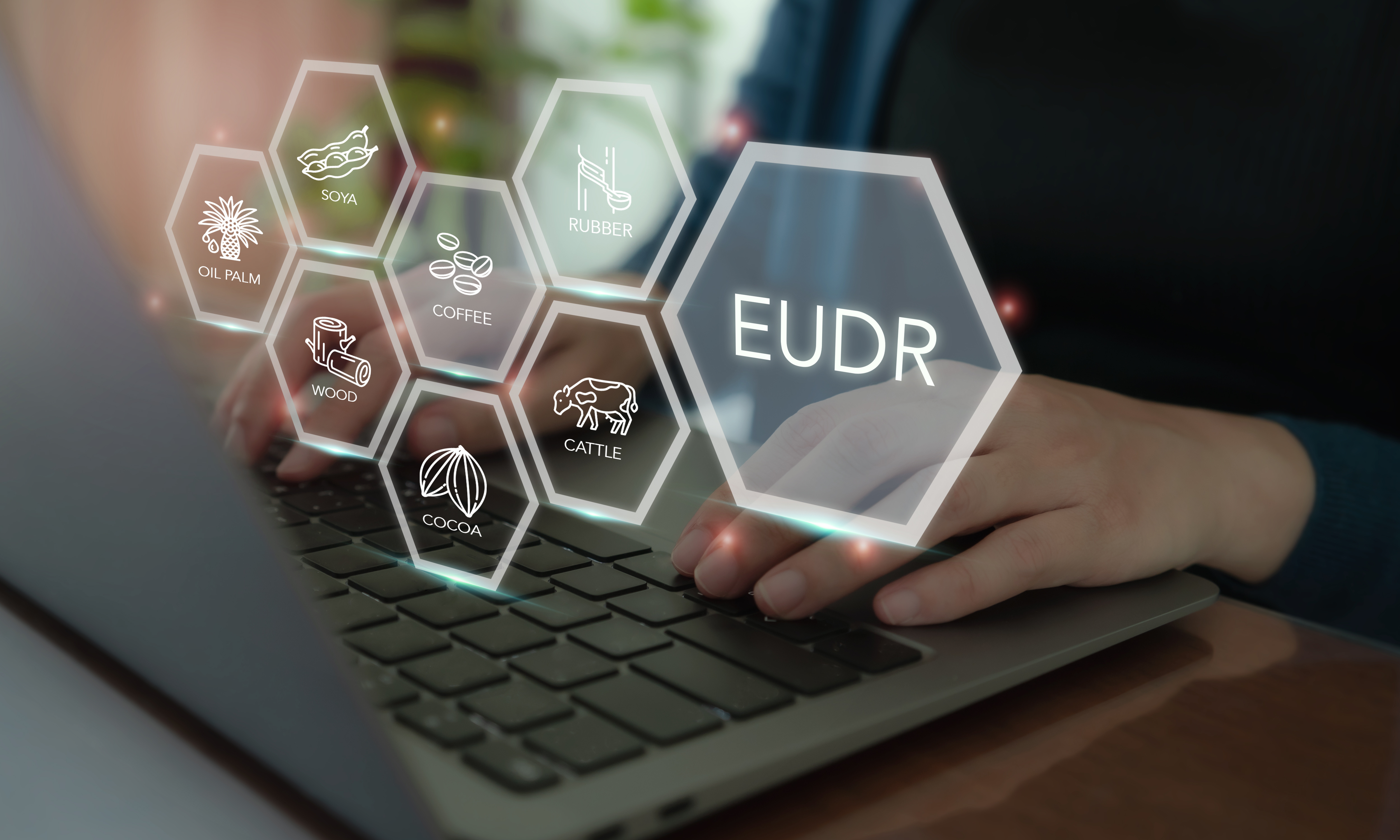 Europaparlament sendet starkes Signal für praxisgerechte EUDR-Reform