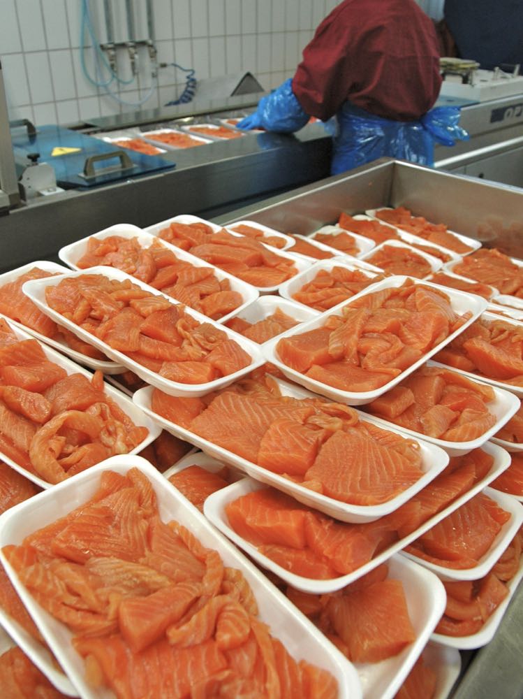 Dänemark: Teilweiser Produktionsstopp bei Polar Salmon Hjerting Laks