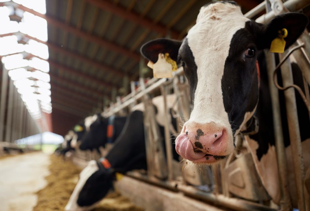 Geplante Übernahme: Premium Food Group legt bezüglich Vion Rechtsbehelf ein