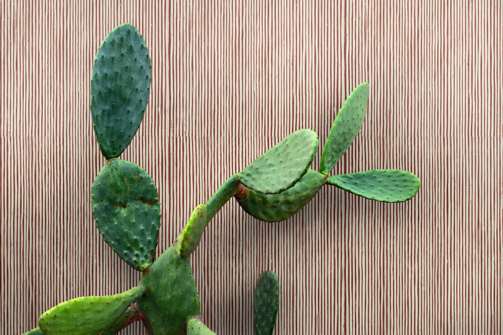 Prämiert: Die „SensiTerre“-Kollektion Green Good Design Award