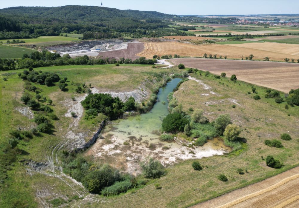  Knauf: Ehemaliger Gipssteinbruch wandelt sich zum Biotop