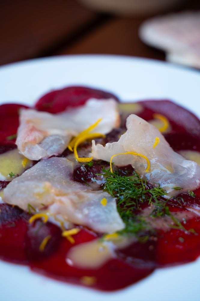 Münster: Slow Food Deutschland lädt zum "Tag der Fische 2025" ein