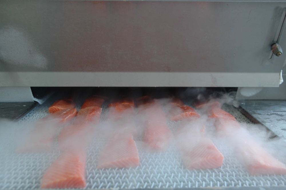 Norwegen: Lachs-Frostung führt zu Preisanstieg