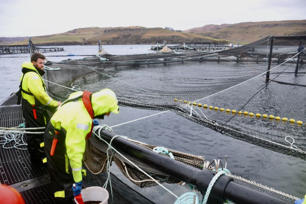 Schottland: Antibiotika-Menge sinkt erheblich
