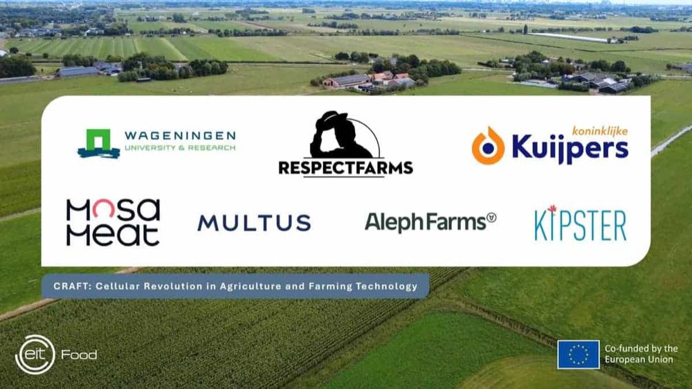 Kultiviertes Fleisch: Bau der weltweit ersten Farm in den Niederlanden