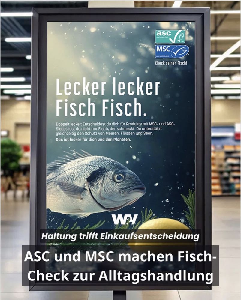 Nachhaltigkeit: MSC und ASC starten wieder "Check deinen Fisch!"