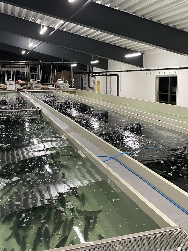 Inhouse Farming – Feed & Food Convention 2025: Aquakultur, Indoor-Systeme und zelluläre Produktion