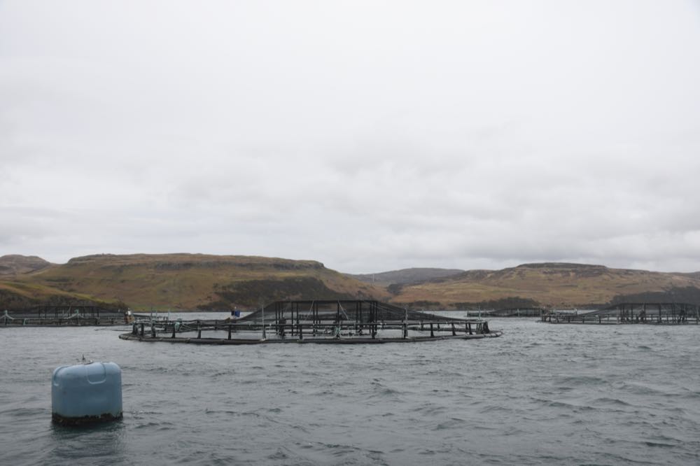 Schottland/Färöer Inseln: Bakkafrost meldet zweigeteilte Bilanz