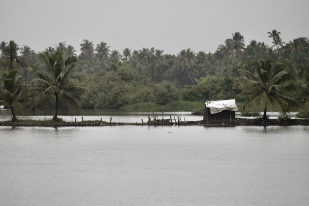 Indien will Shrimps verstärkt in die EU exportieren