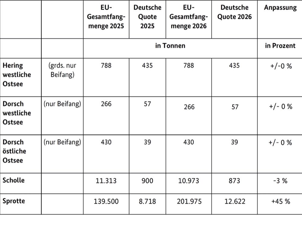 Ostseefischerei: 2026 keine weiteren Einschränkungen