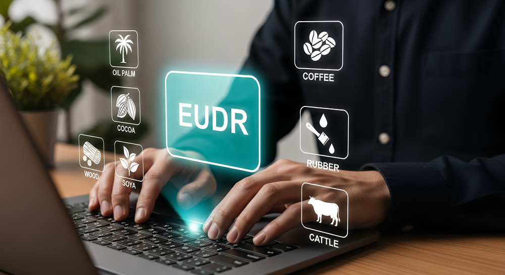 EUDR-Verschiebung: Eu-Rat stimmt dafür – Baugewerbe erleichtert