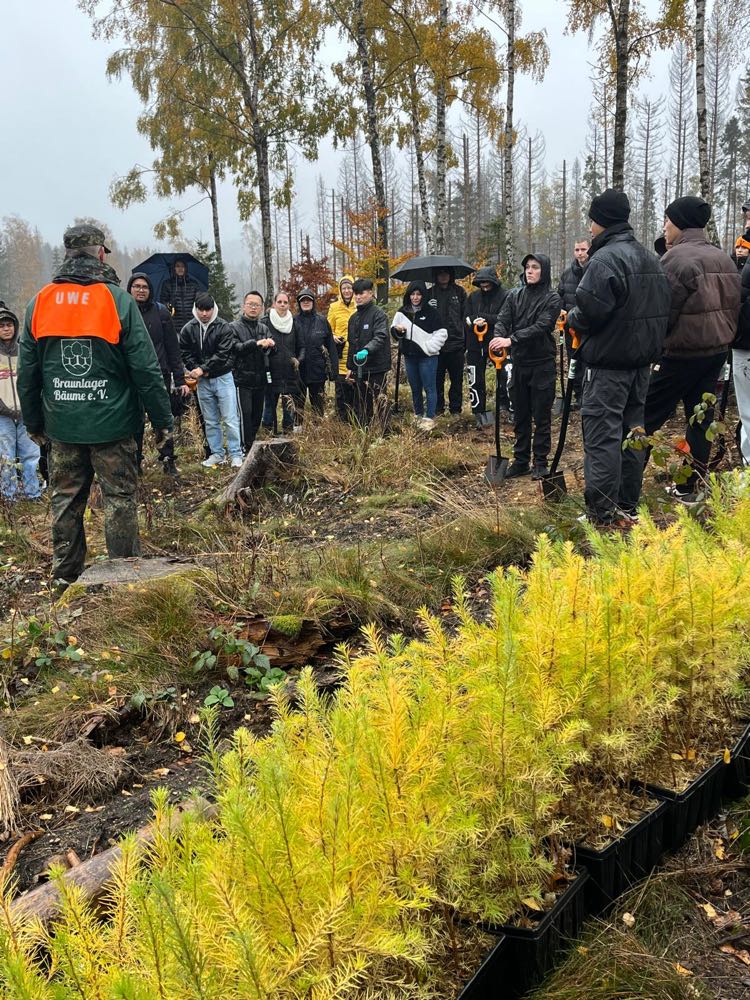 Auszubildende pflanzen Bäume