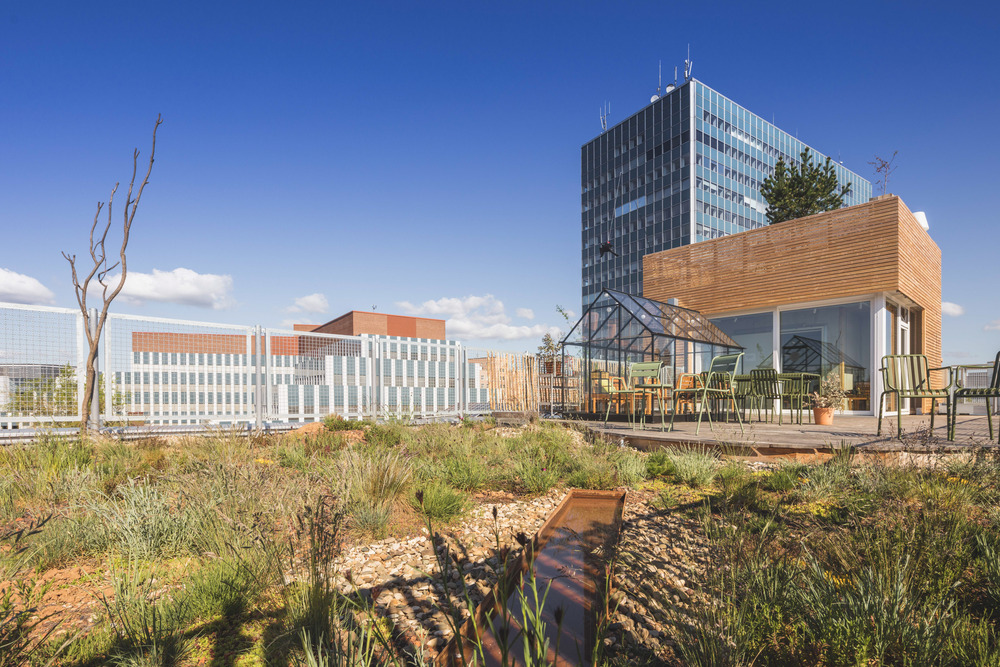 Das „nachwachsende“ Hotel Luise