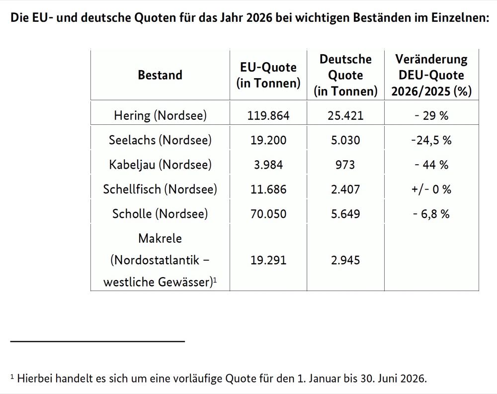 Fangquoten: Weniger Kabeljau, Hering und Seelachs