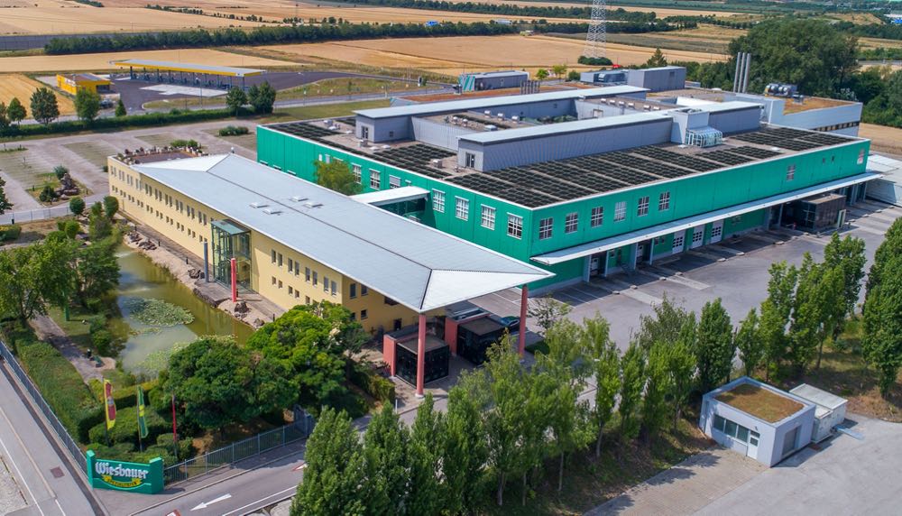 Wiesbauer mit solider Geschäftsentwicklung