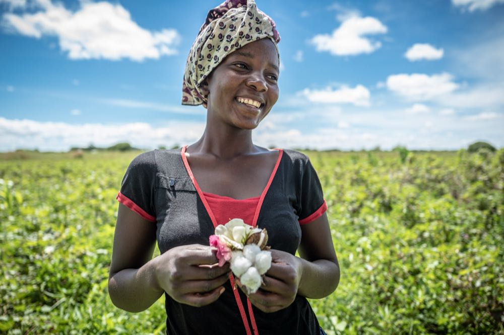 Dibella steigert Einsatz von CmiA-Baumwolle