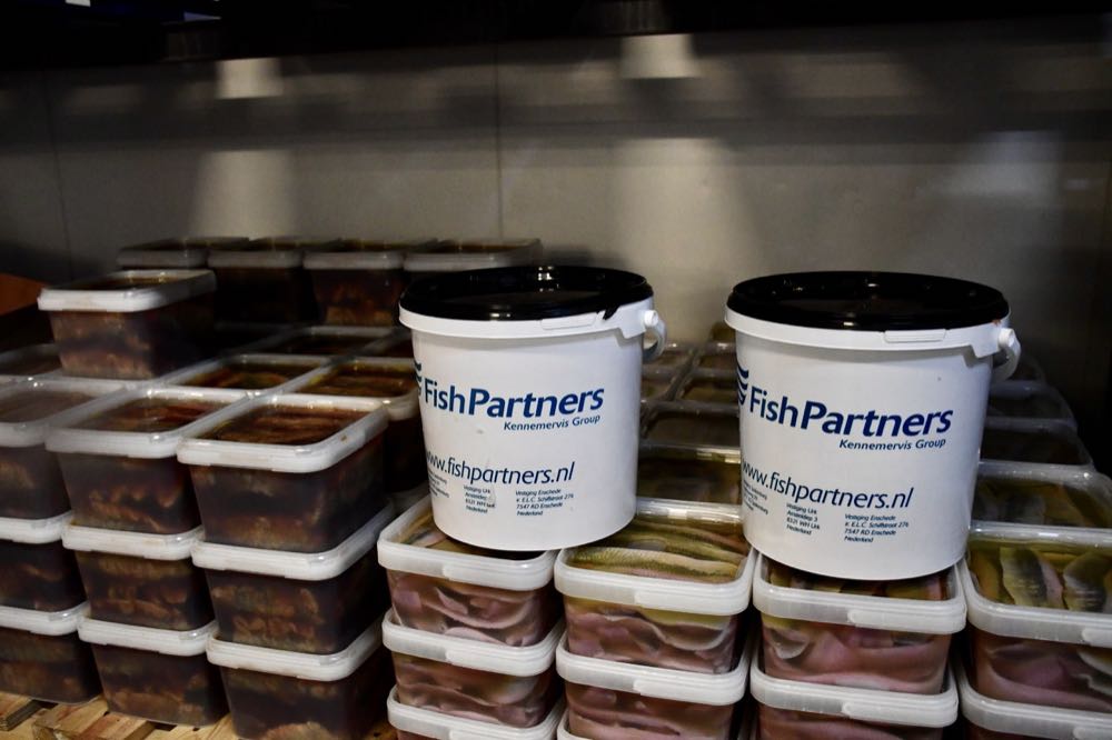 Niederlande: Rasecht übernimmt Fish Partners