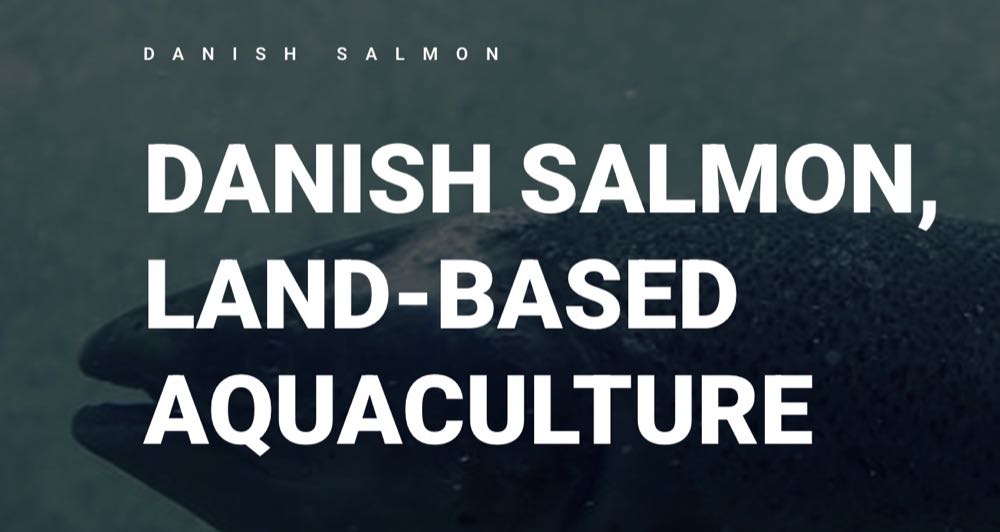 Dänemark: Danish Salmon – die mutmaßlich erste profitable Indoor-Lachszucht