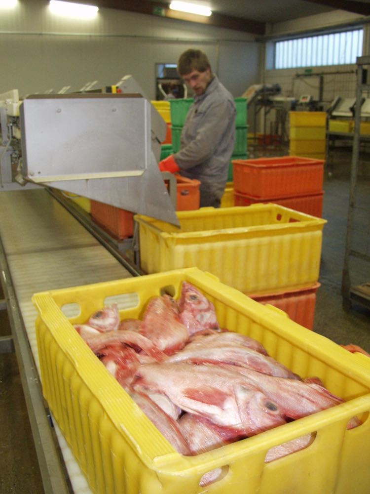 Bremerhaven: Isey und Fimex insolvent