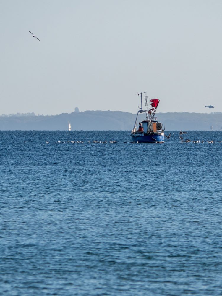 Küstenfischerei: Neue Informations- und Koordinierungsstelle leistet Unterstützung