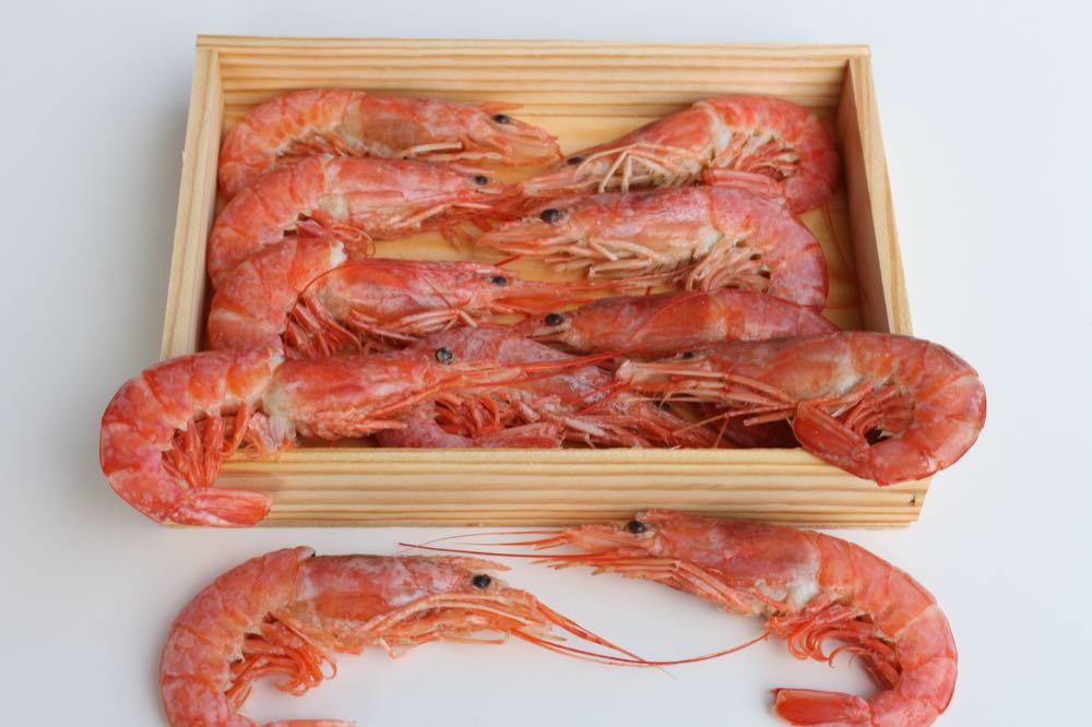 Argentinien: Hochseefischerei auf Rotgarnele erhält MSC-Zertifizierung