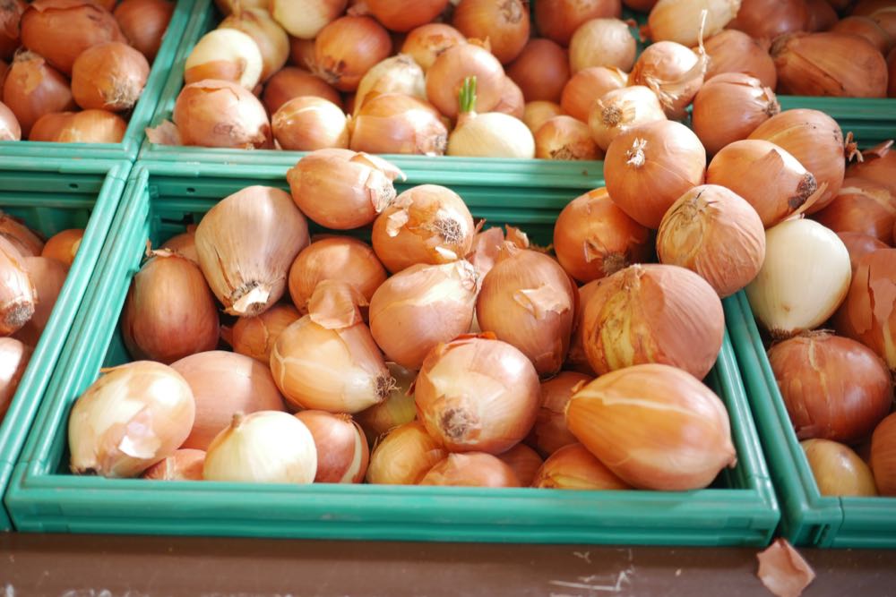 Gemüseernte 2025 auf Rekordniveau