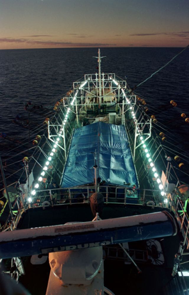 Argentinien: Weniger Shrimps, mehr Squid, Seehecht blieb stabil