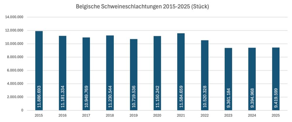 Belgische Schlachtzahlen 2025: Schweine stabil, Rinder rückläufig
