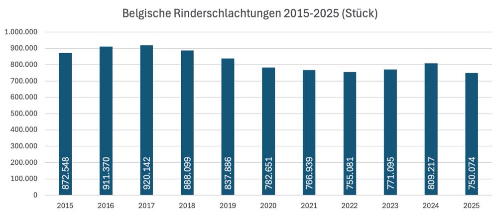 Belgische Schlachtzahlen 2025: Schweine stabil, Rinder rückläufig