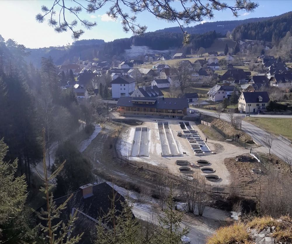 Österreich: Jurypreis für die "Schaufischzucht Kroisleitner"