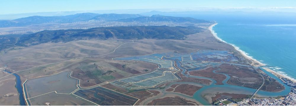 Spanien: ASC-Zertifikat für Wolfsbarsch und Dorade von Lubimar