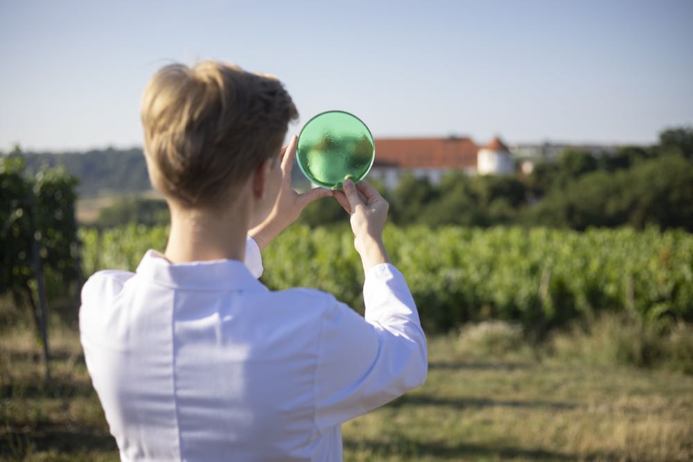 Hohenstein: Klare Nachhaltigkeitsziele