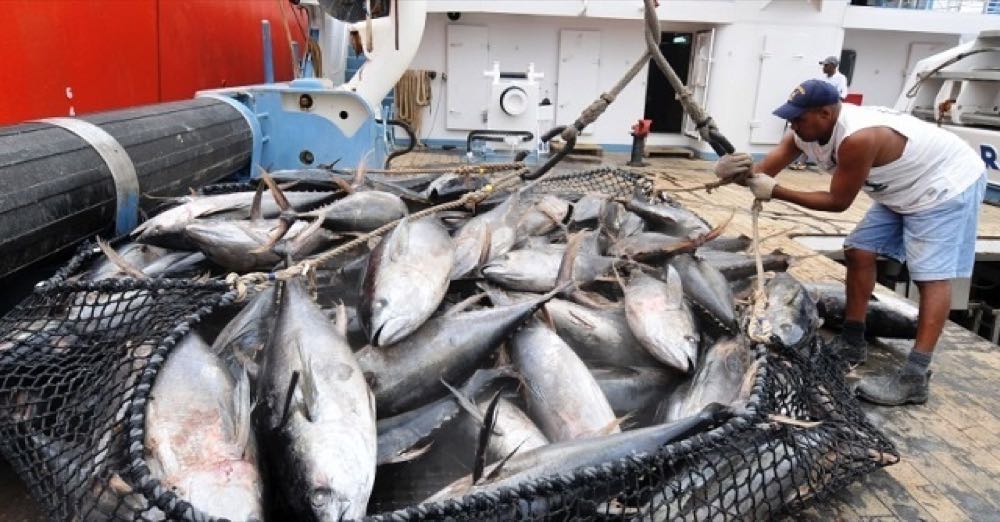 EU: Neues Fischereiabkommen mit den Seychellen