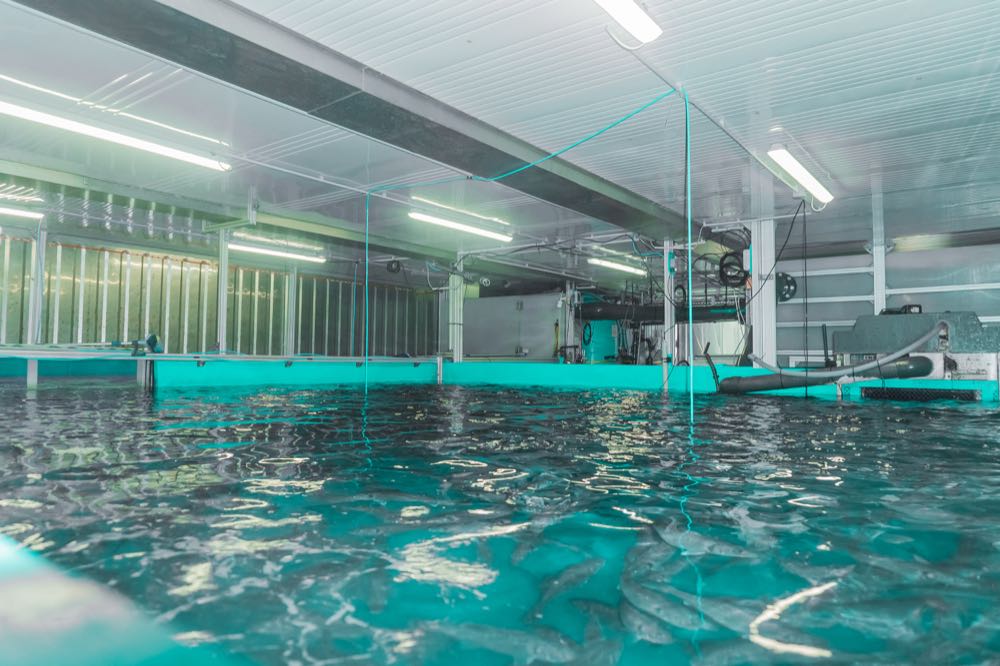 Seawater Cubes führt Geschäftsbetrieb nicht fort