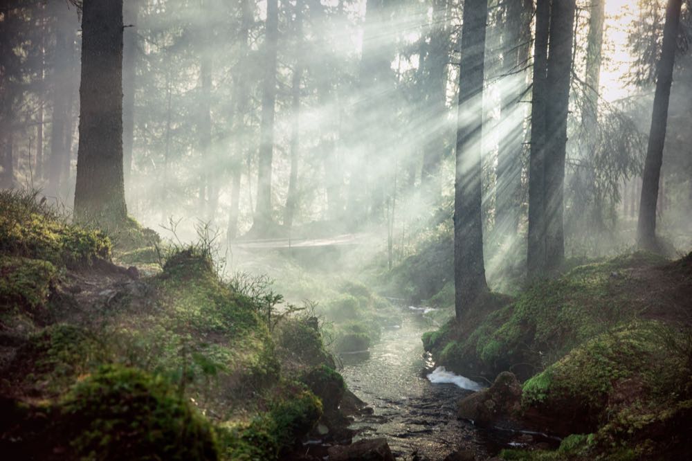 Fristads und Kunden sparen über neun Millionen Kubikmeter Wasser