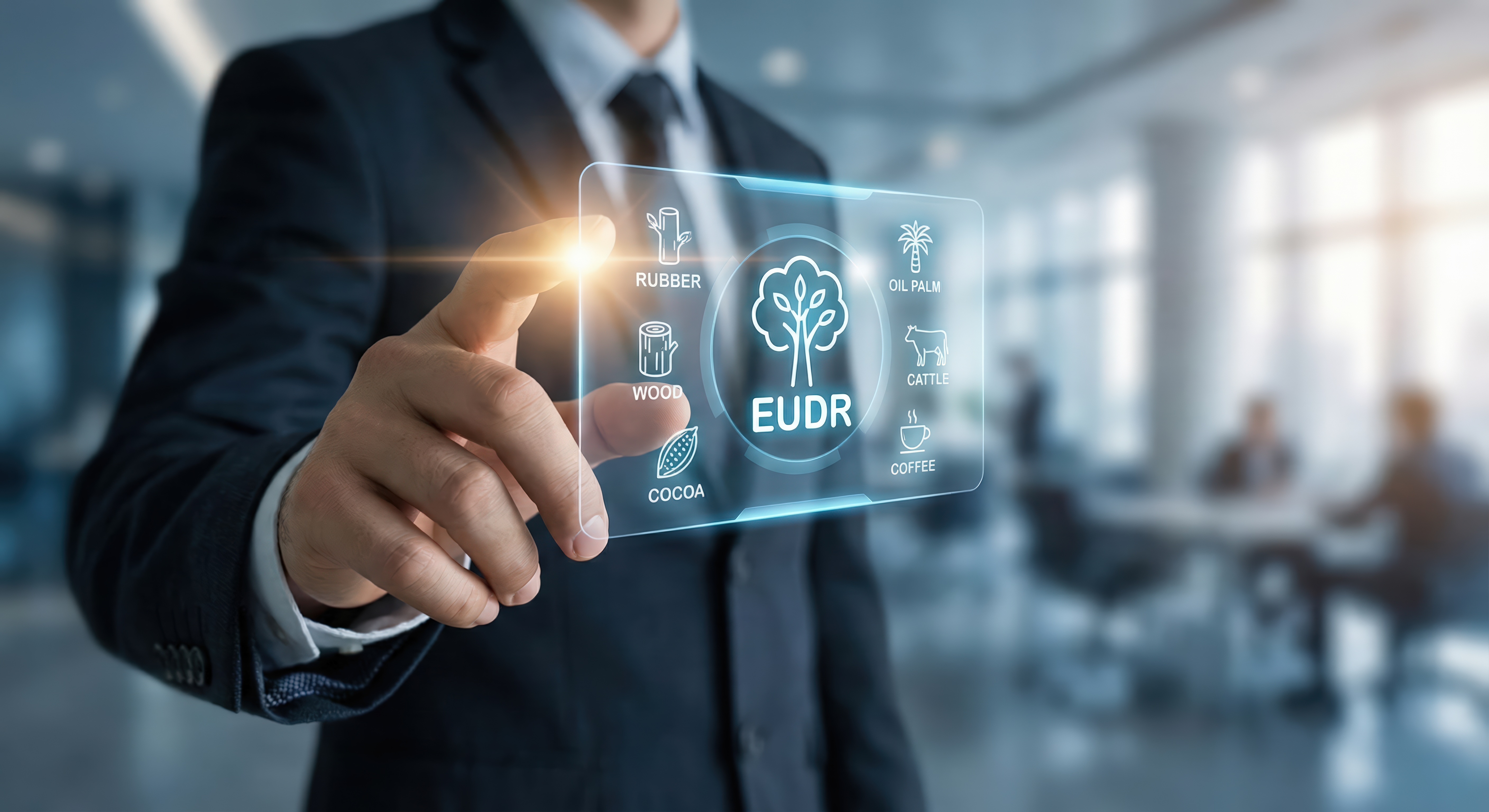 EUDR: Verbände kritisieren neue Vorlage der EU-Kommission