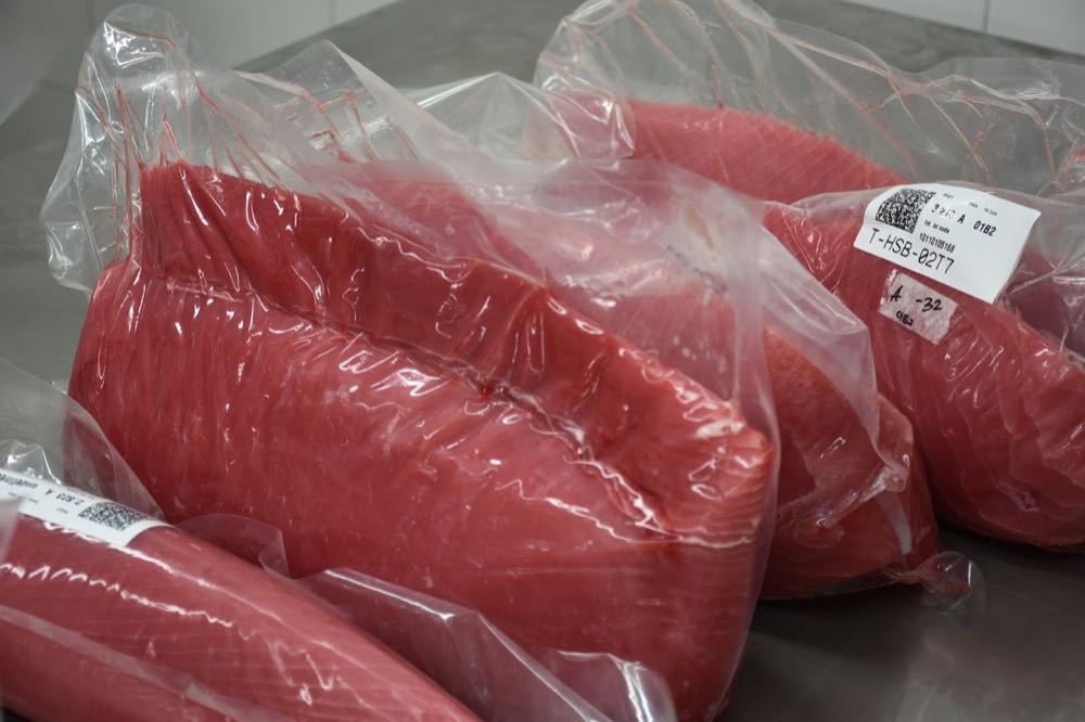 Thunfisch: Branche warnt vor Freihandelsabkommen mit Indonesien