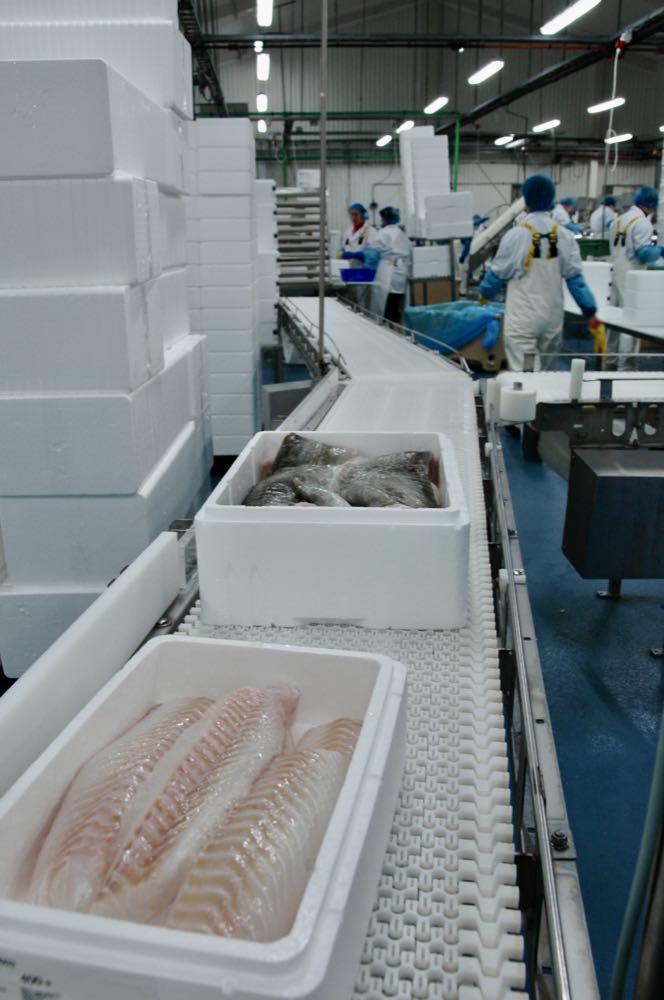 Island: "Storytelling" soll Lachs-Export stärken