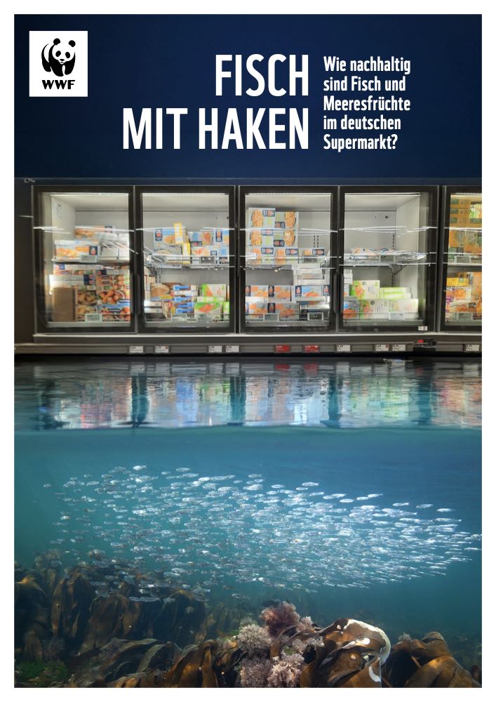 WWF-Marktcheck Fisch: "Weniger problematisch als früher"