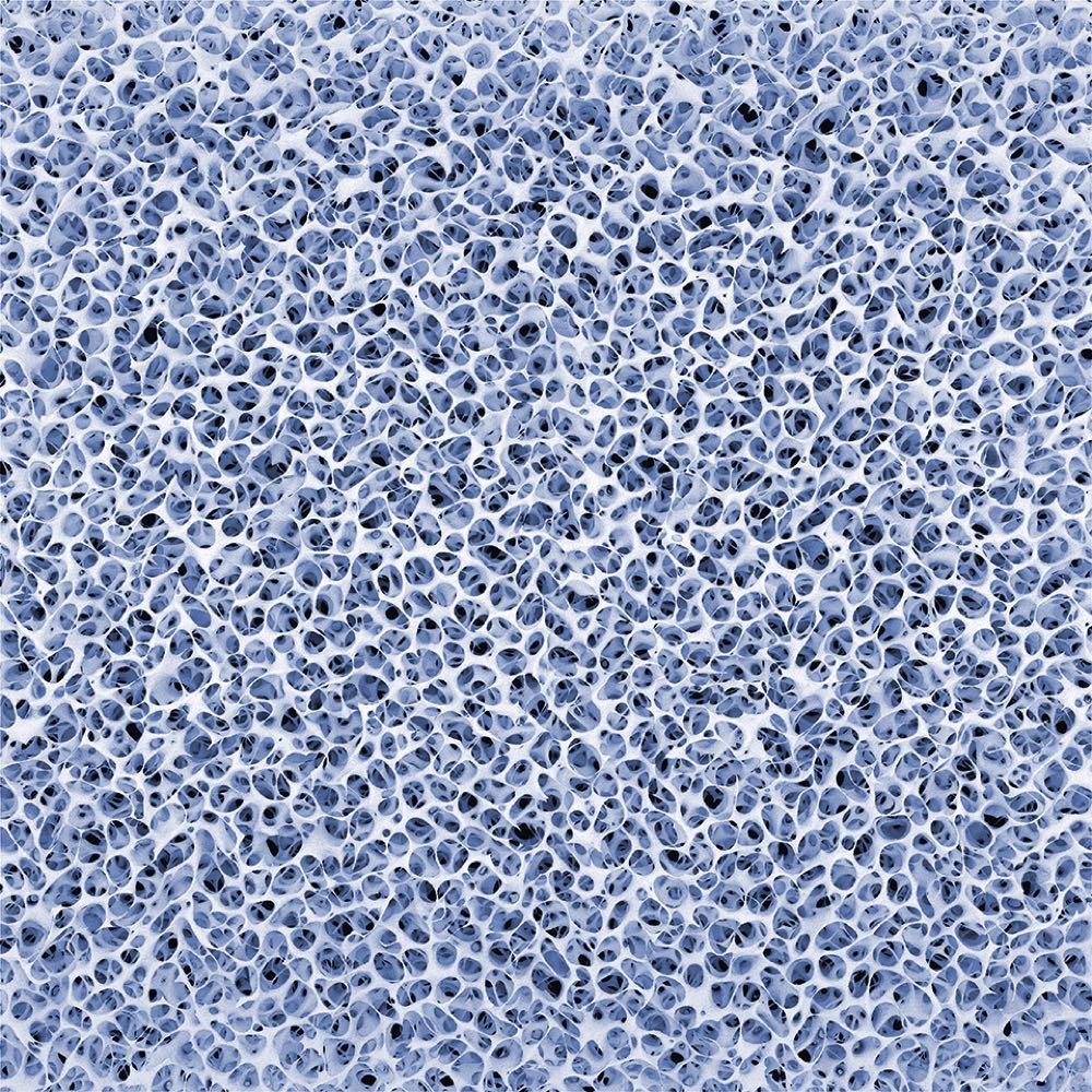 „Temperaturregulierung ist unsere DNA“