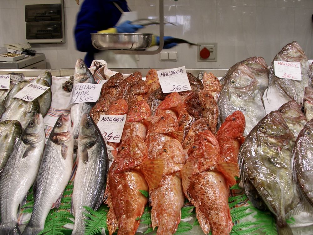 Mallorca: Verbraucherorganisation wirbt für Fischbedientheken