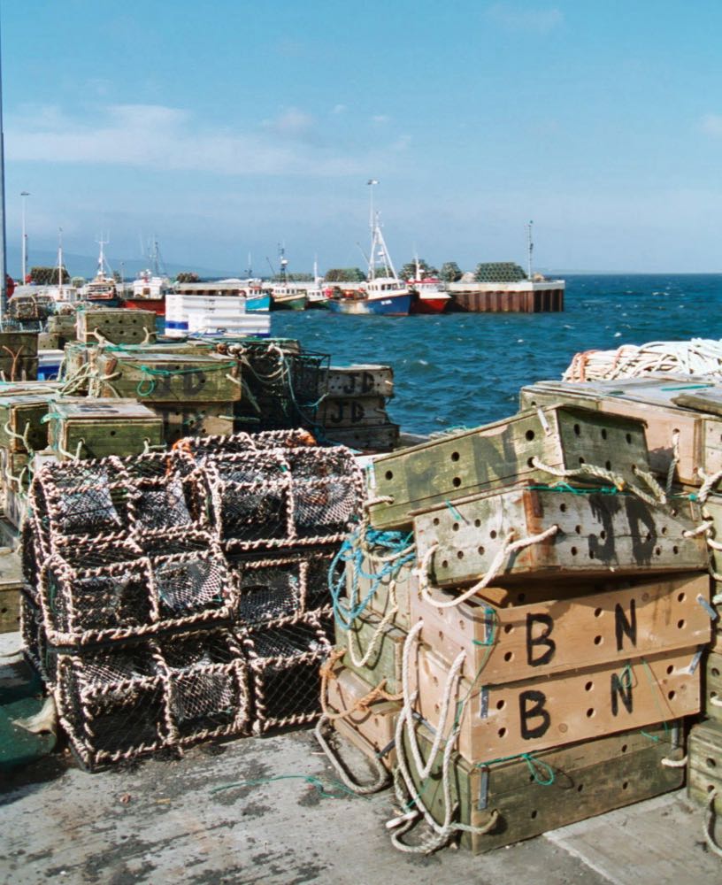 Schottland: Fischerei auf Krustentiere erhält Community Catch-Zertifizierung