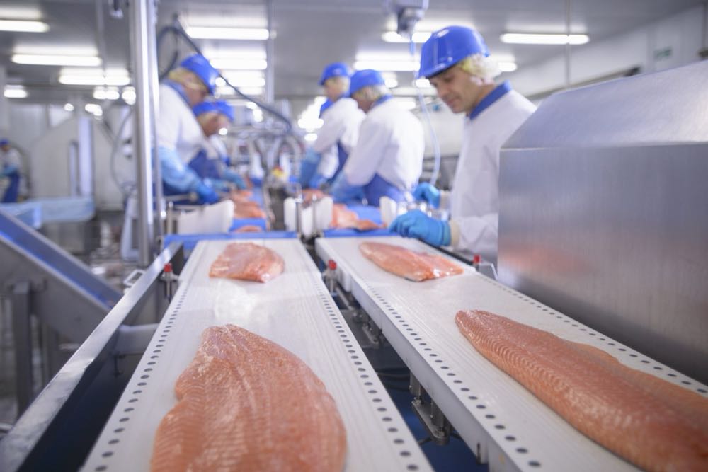 BVE-Jahreszahlen 2025: Ernährungsindustrie stagniert