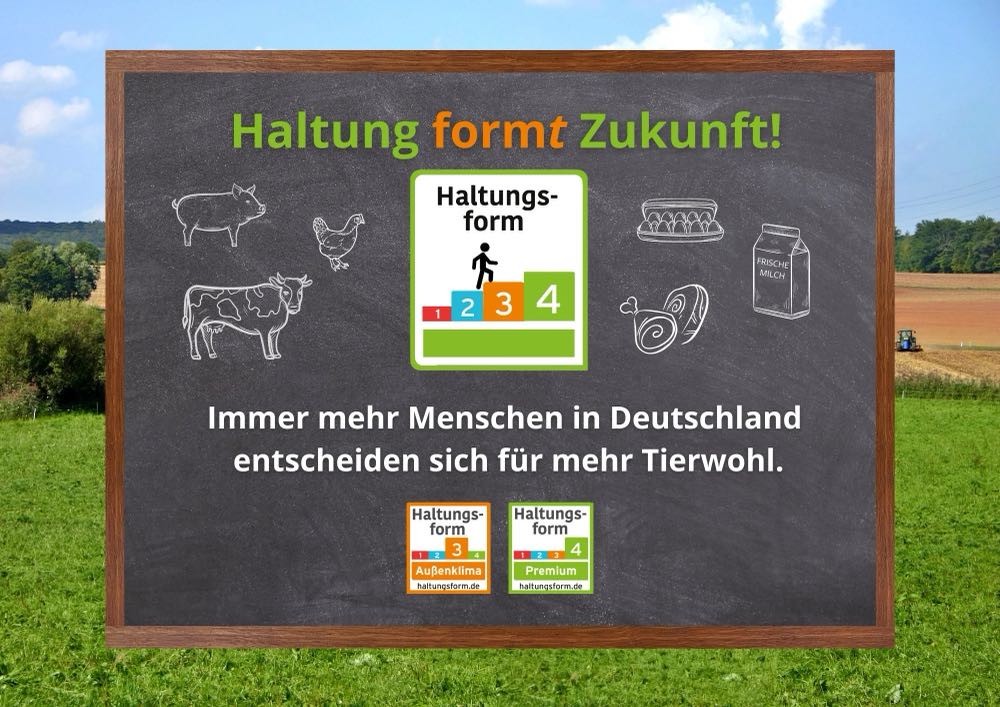 Studie: Nudging steigert Absatz von Tierwohl-Produkten
