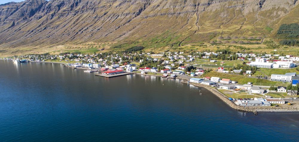 Island: Erste Makrelen der Saison angelandet